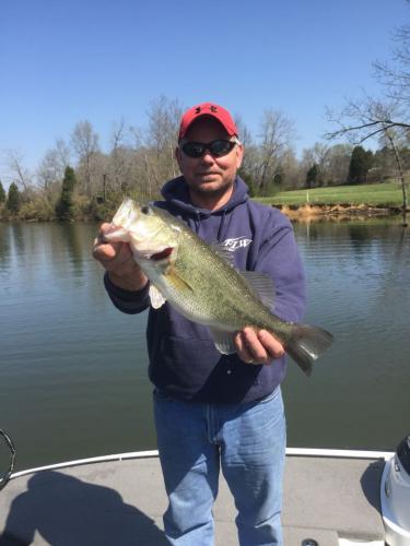 Braggin' Board Photo: Cheatham Lake Bass
