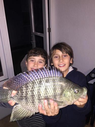 Braggin' Board Photo: Insanely huge Tilapia