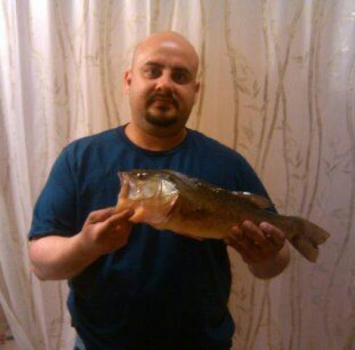 Braggin' Board Photo: huawei phone 059