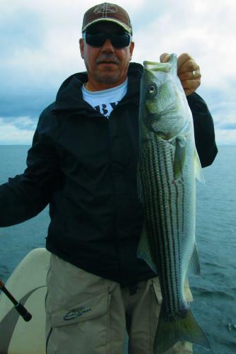 Braggin' Board Photo: Nice Fall Striper Bass