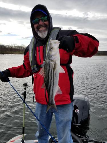 Braggin' Board Photo: Striper
