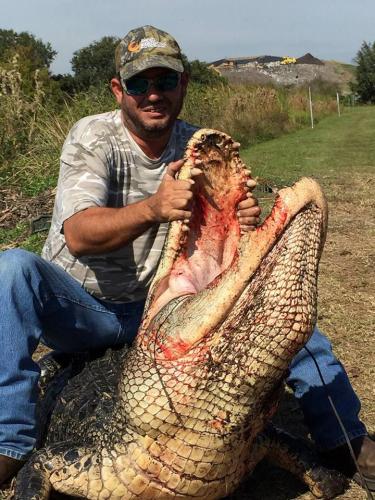 Braggin' Board Photo: Gator Say "Ah!"