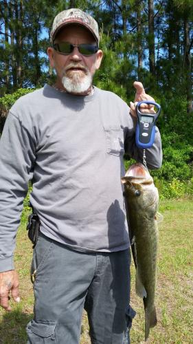 Braggin' Board Photo: Bass