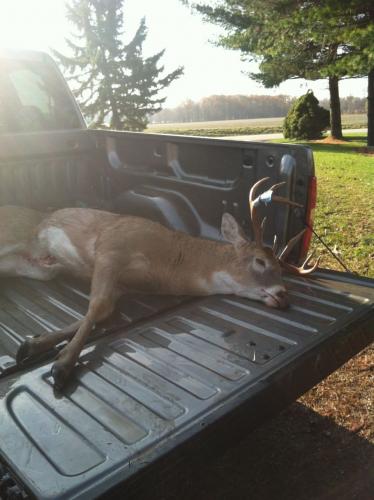 Braggin' Board Photo: 2012 Buck