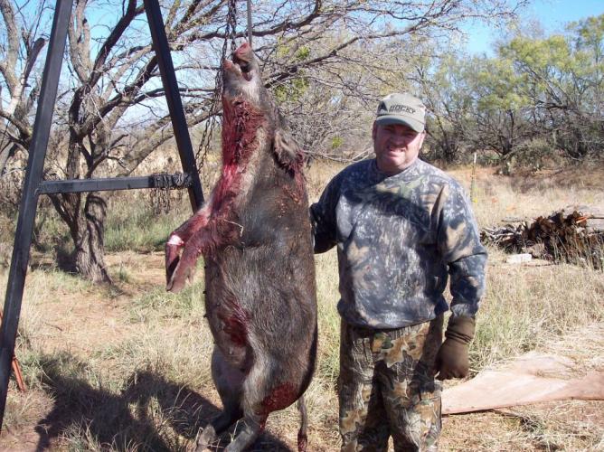 Braggin' Board Photo: fat hog down