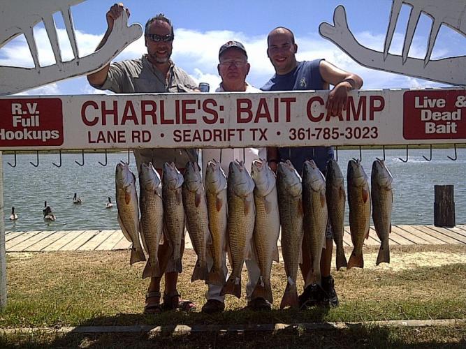 Braggin' Board Photo: Big Boys Fishing Trip in Seadrift, TX