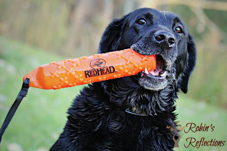 Braggin' Board Photo: Keepers Redhead