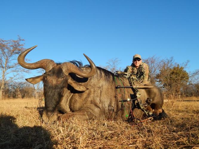 Braggin' Board Photo: Wildebeest - Africa