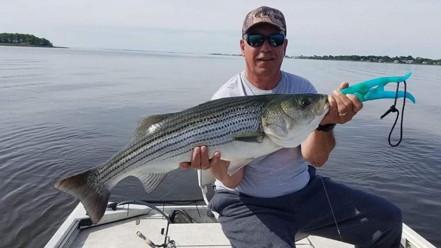 Braggin' Board Photo: Nice Stripe Bass
