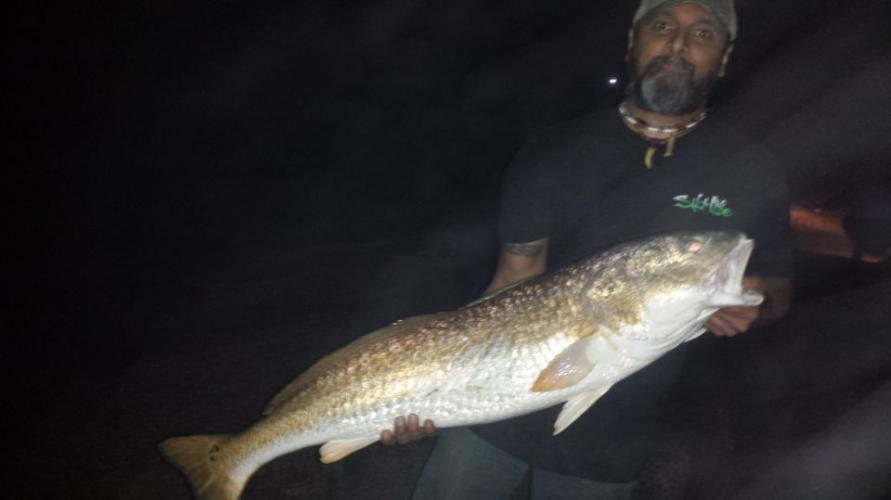 Braggin' Board Photo: bull red