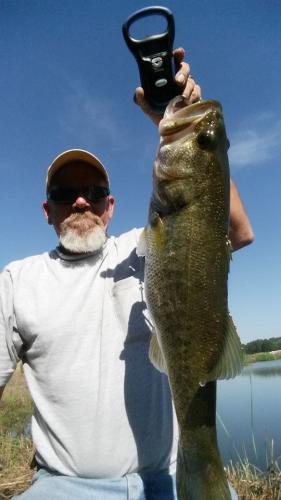 Braggin' Board Photo: Great Day Fishing