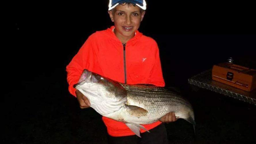 Braggin' Board Photo: Nice Striped Bass