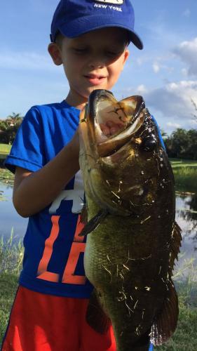 Braggin' Board Photo: Nice largemouth bass