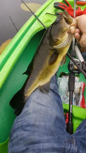Braggin' Board Photo: Kayak Fishing