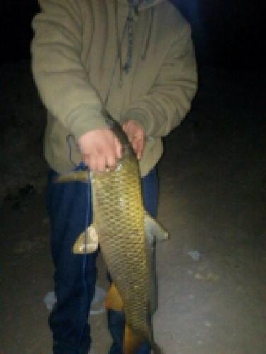 Braggin' Board Photo: 9lb carp EPT