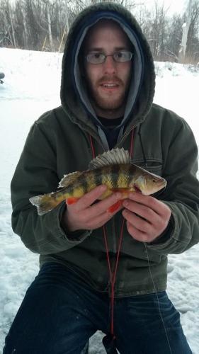 Braggin' Board Photo: Yellow Perch - Ice Fishing