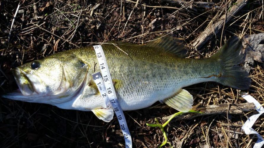 Braggin' Board Photo: This is why I fish!