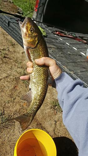 Braggin' Board Photo: Sticky Finger
