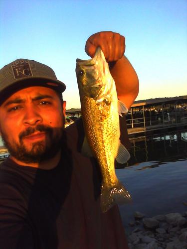 Braggin' Board Photo: Largemouth Bass
