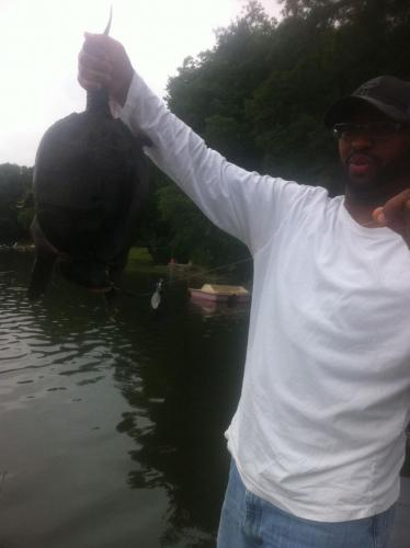 Braggin' Board Photo: Unexpected catch... turtle