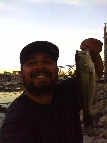 Braggin' Board Photo: Bass