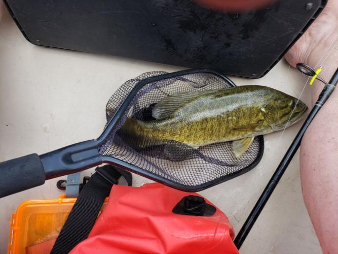 Braggin' Board Photo: Smallouth