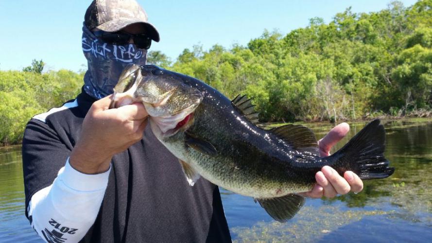 Braggin' Board Photo: Florida Bass 101