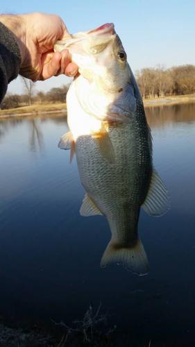 Braggin' Board Photo: bass 6