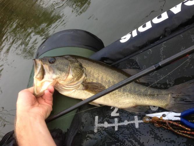 Braggin' Board Photo: bass 1