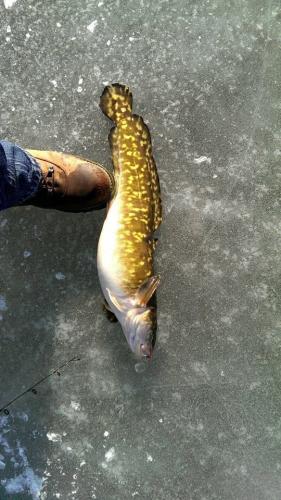 Braggin' Board Photo: Ice Fishing