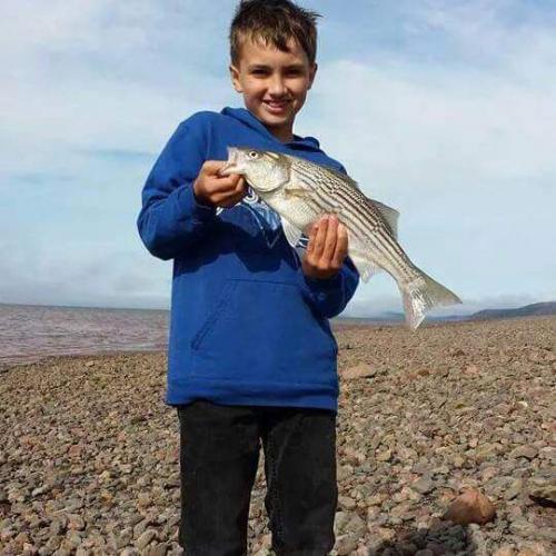 Braggin' Board Photo: Striped Bass
