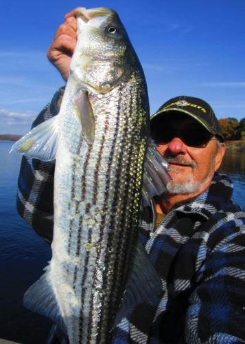 Braggin' Board Photo: Fishing Stripers