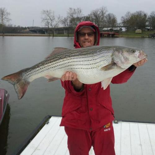 Braggin' Board Photo: monster bass fish