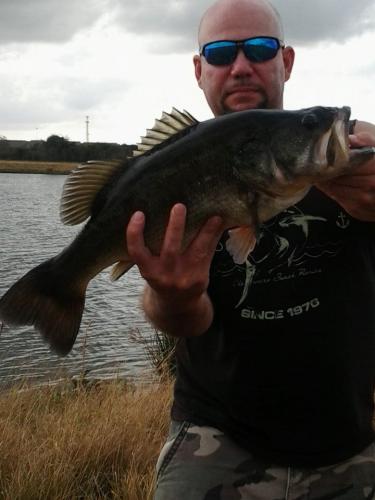 Braggin' Board Photo: Fishing in 2015 - nice bass