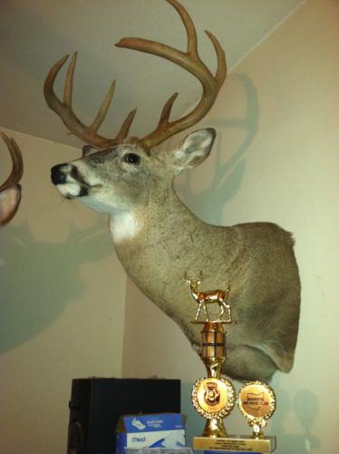 Braggin' Board Photo: 2010 Buck