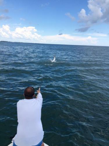 Braggin' Board Photo: Billfish