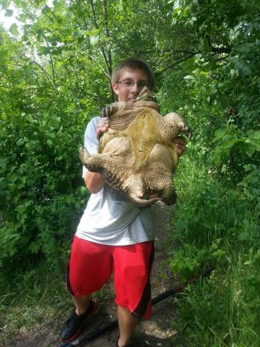 Braggin' Board Photo: Turtle