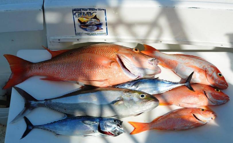 Braggin' Board Photo: Nice day saltwater fishing