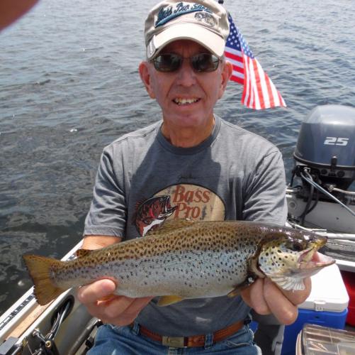 Braggin' Board Photo: 16 inch 2 lb Brown Trout