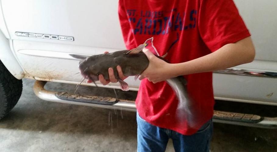 Braggin' Board Photo: 6.8 lb Catfish