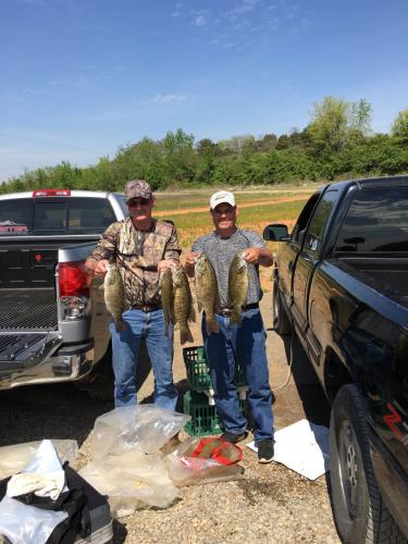 Braggin' Board Photo: Nice batch of Smallies