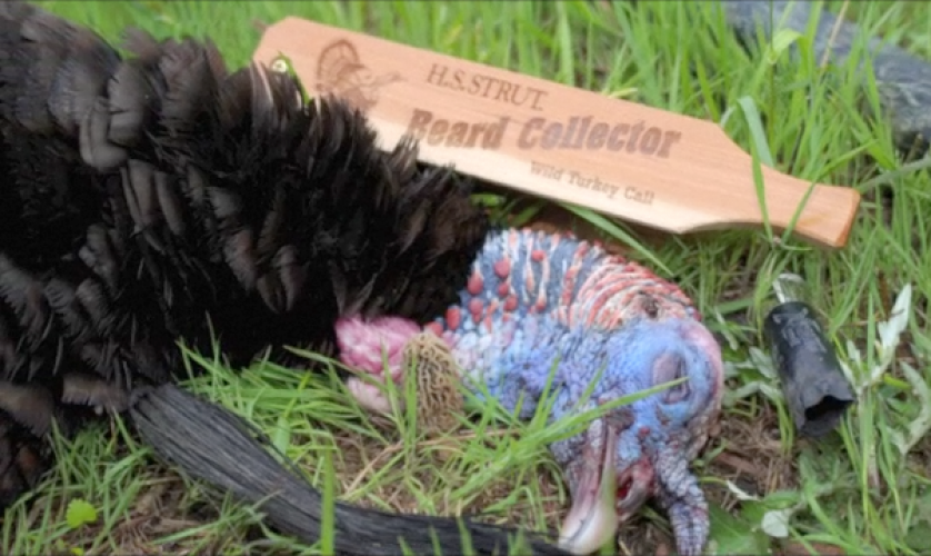 Braggin' Board Photo: Spring Turkey