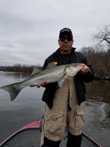 Braggin' Board Photo: Love my bass