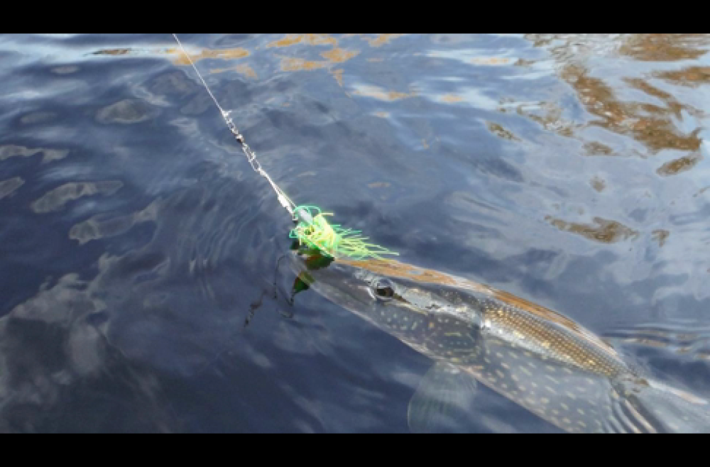 Trolling Spinner Baits for Pike
