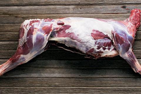 Skinned deer ready for butchering