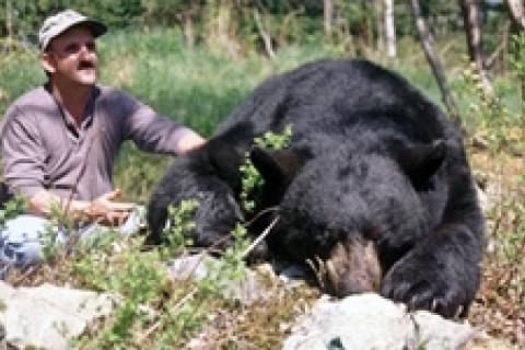 News & Tips: Black Bear Basic Baiting and Hunting Tips...