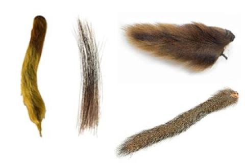 News & Tips: Tailing Materials for Fly Tying