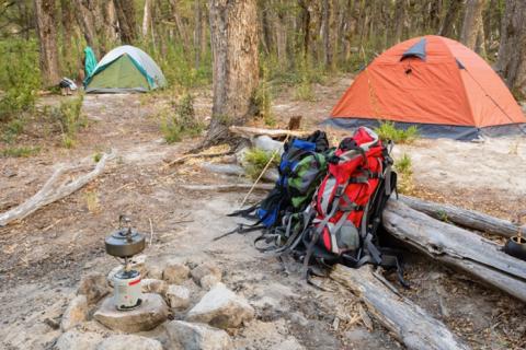 Dispersed Camping': How to Car Camp on Public Land