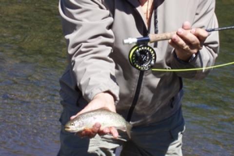 News & Tips: Travel Blog: Fly Fishing in the Smoky Mountains...