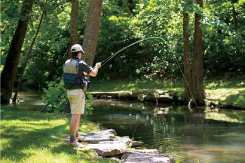 Fly Fishing Line & Fly Rod Every Beginner Needs